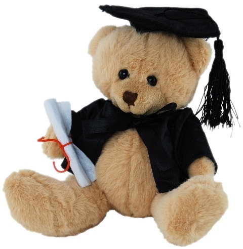 Graduation Bear – 14cm