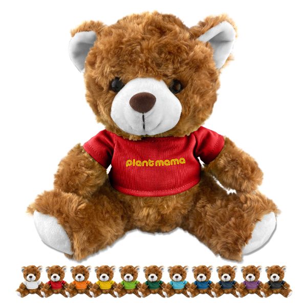 Teddy Bear Plush – PL001
